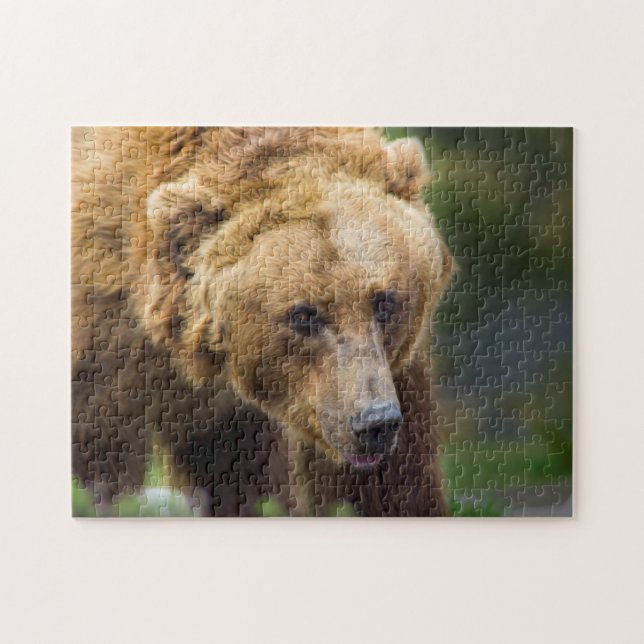 Grizzlybär Puzzle (Horizontal)