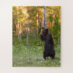 Grizzlybär Puzzle