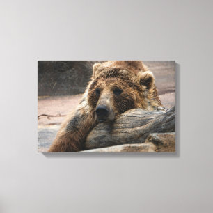Grizzlybär schlafend Canvas drucken Leinwanddruck