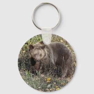 Grizzlybär Schlüsselanhänger