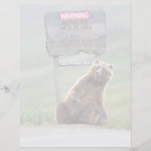 Grizzlybär spielt mit Schild