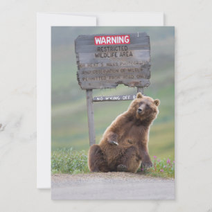 Grizzlybär spielt mit Schild Dankeskarte