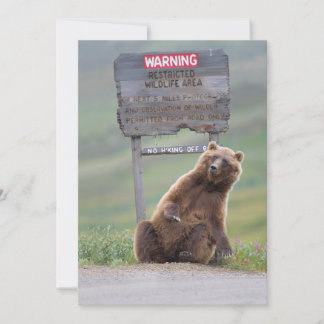 Grizzlybär spielt mit Schild Dankeskarte