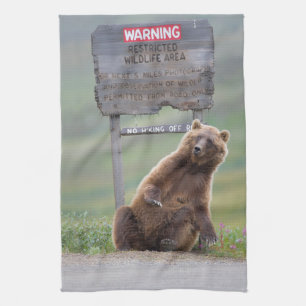 Grizzlybär spielt mit Schild Geschirrtuch