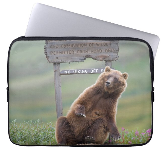 Grizzlybär spielt mit Schild Laptopschutzhülle (Vorderseite)