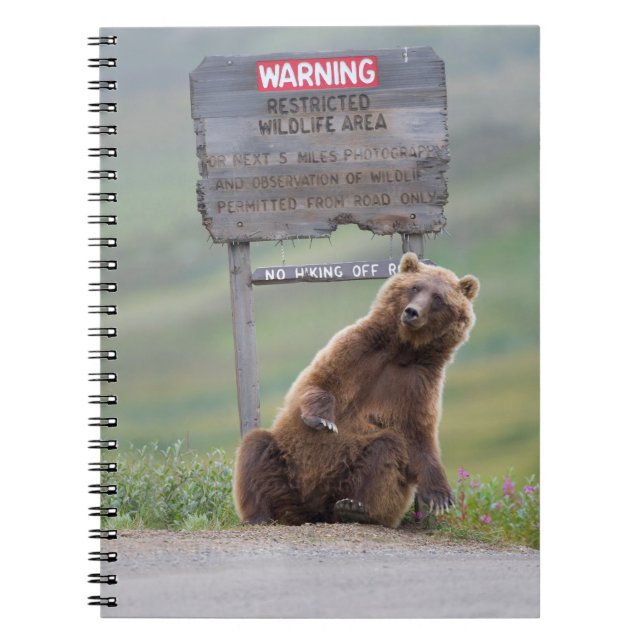 Grizzlybär spielt mit Schild Notizblock (Vorderseite)