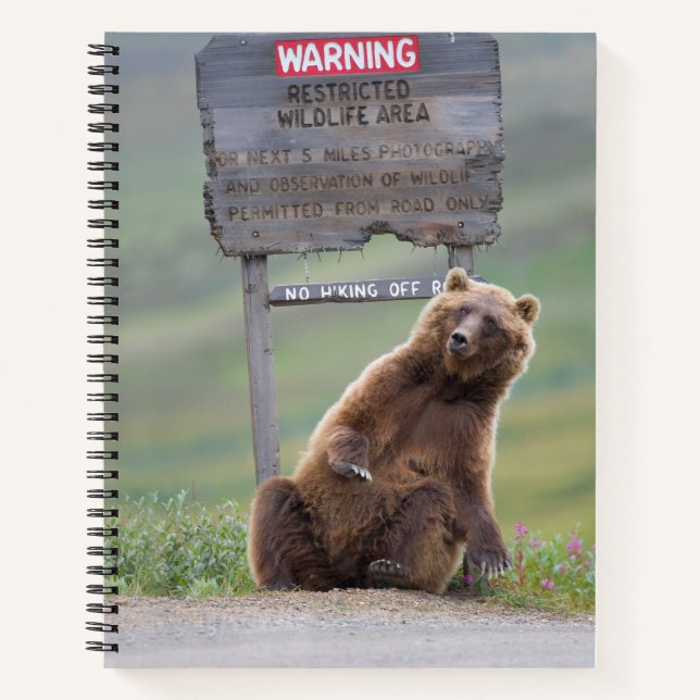 Grizzlybär spielt mit Schild Notizbuch (Vorderseite)