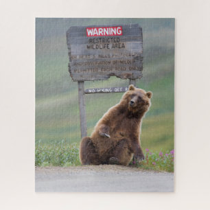 Grizzlybär spielt mit Schild Puzzle