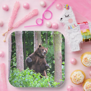 Grizzlybär steht hoch Papierplatten Pappteller