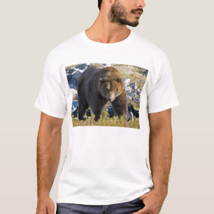 Grizzlybär T-Shirt