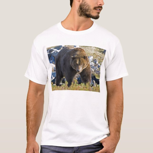 Grizzlybär T-Shirt (Vorderseite)