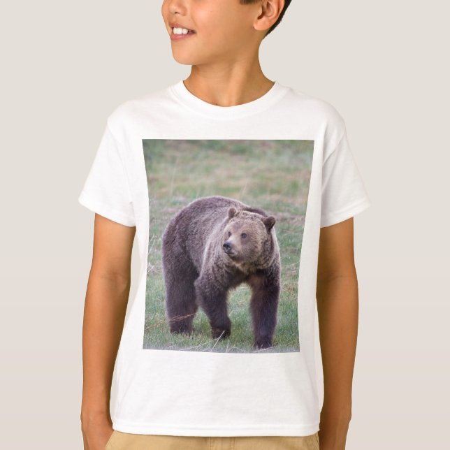 Grizzlybär T-Shirt (Vorderseite)