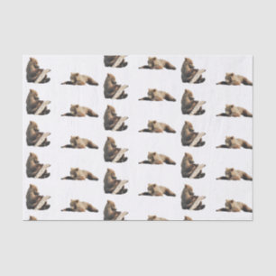 Grizzlybär Tissue Paper Seidenpapier