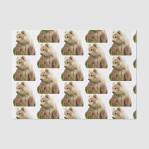 Grizzlybär Tissue Paper Seidenpapier