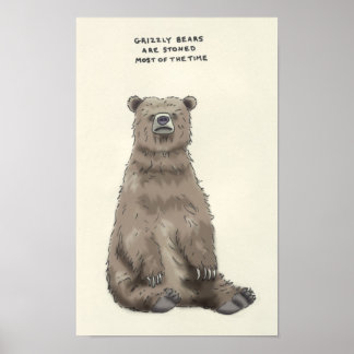 Grizzlybär trivia poster