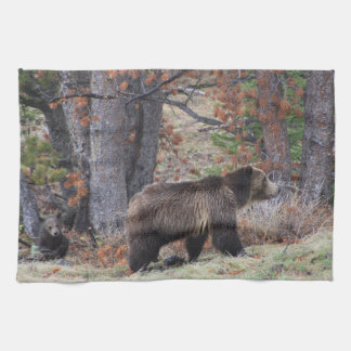 Grizzlybär und Cube in Yellowstone Küchentuch