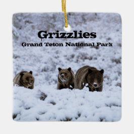 Grizzlybären im Snow Grand Teton Nationalpark Keramikornament