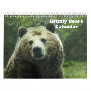 Grizzlybären Kalender