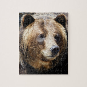 Grizzlybären-Portrait Puzzle