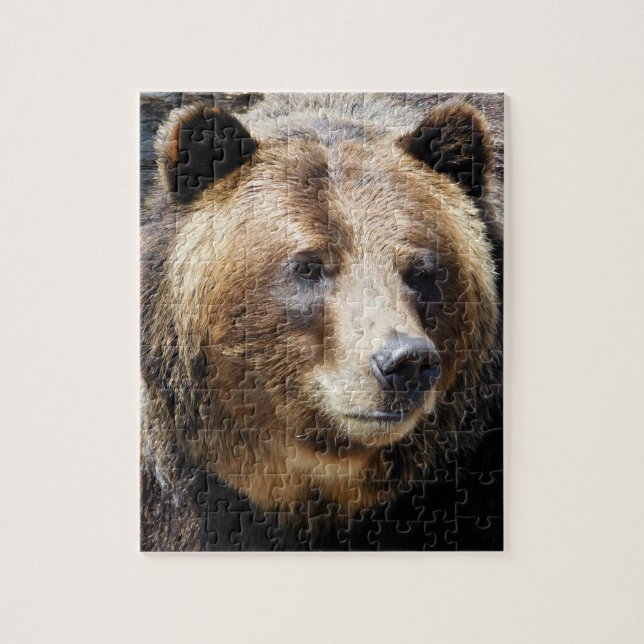 Grizzlybären-Portrait Puzzle (Vertikal)