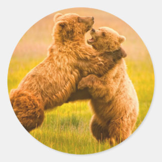 Grizzlybären-Wrestling Runder Aufkleber