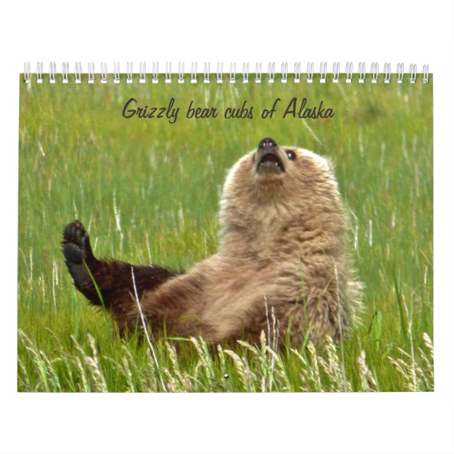Grizzlybärjunge von Alaska-Kalender Kalender (Titelbild)