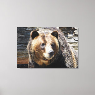 Grizzy Bären Profil Wrapped Canvas Print Leinwanddruck