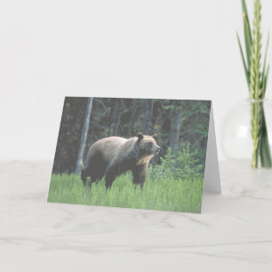 Grizzy Bear Woods Card Karte