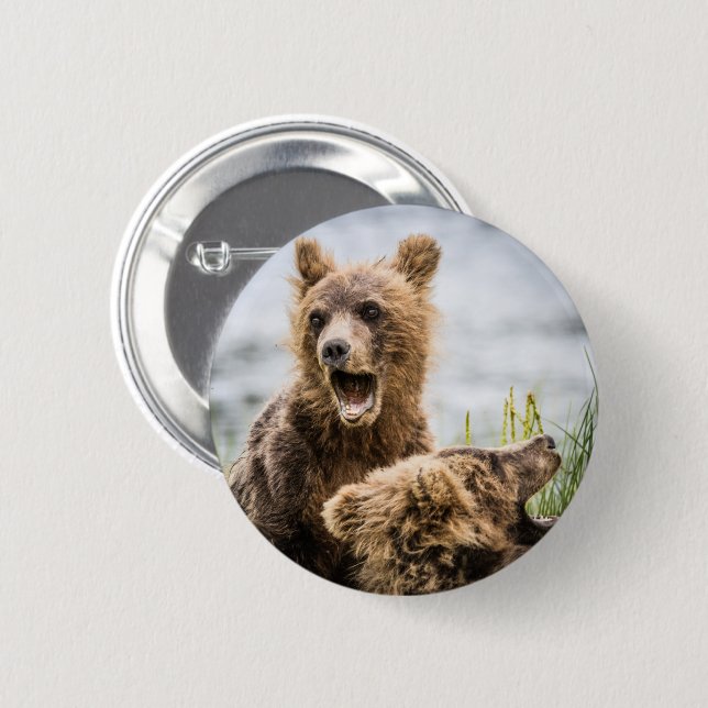 Grizzy Cubs suchen nach ihrer Mutter Button (Vorne & Hinten)