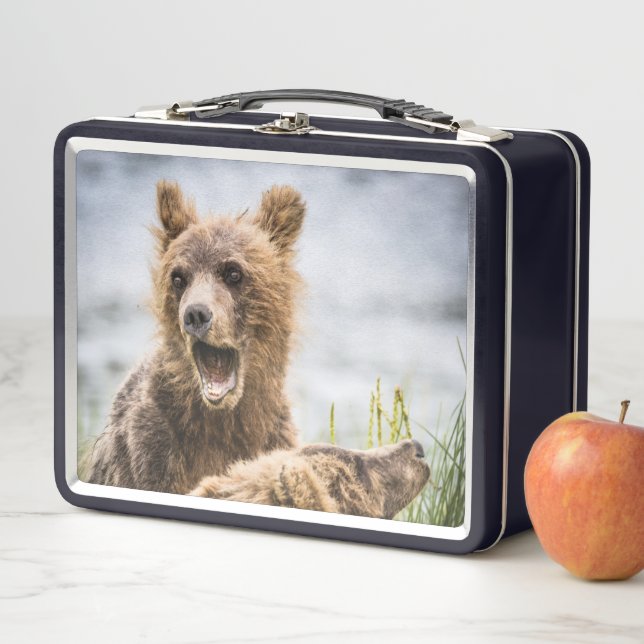 Grizzy Cubs suchen nach ihrer Mutter Metall Brotdose (Beispiel)