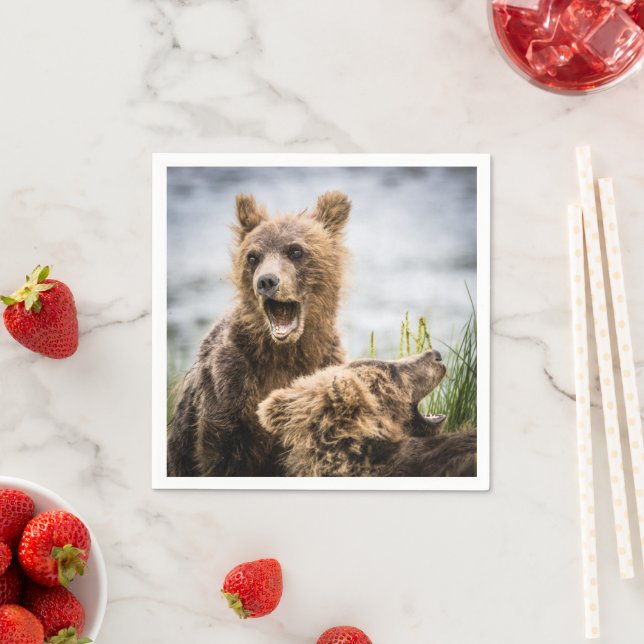 Grizzy Cubs suchen nach ihrer Mutter Serviette (Beispiel)