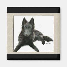 Groenendael Belgisches Schaffenhund Magnet