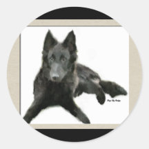 Groenendael Belgisches Schaffenhund