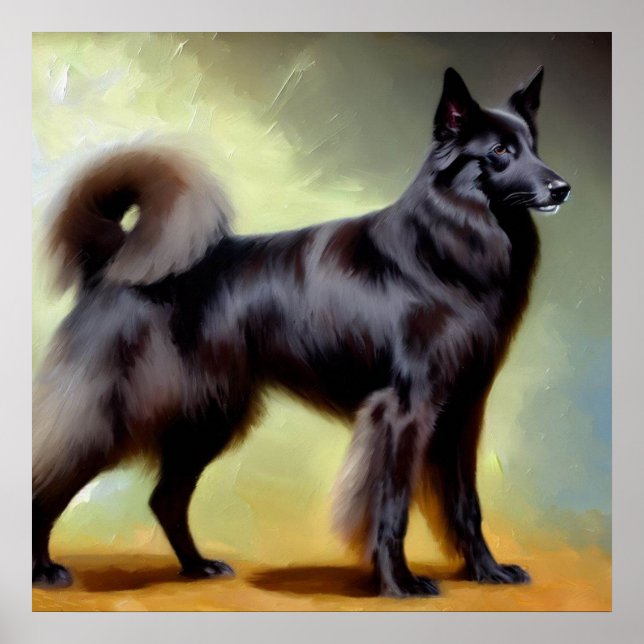 Groenendael Belgium Shepherd Dog Poster (Vorne)