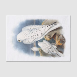 Grönland-Falke, dekoupage Seidenpapier