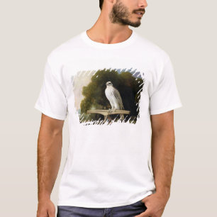 Grönland-Falke (grauer Falke), 1780 (Öl auf Plat T-Shirt
