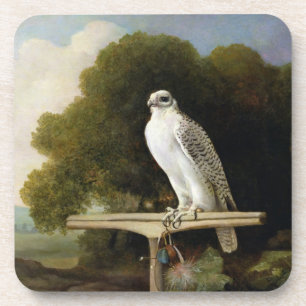 Grönland-Falke (grauer Falke), 1780 (Öl auf Plat Untersetzer