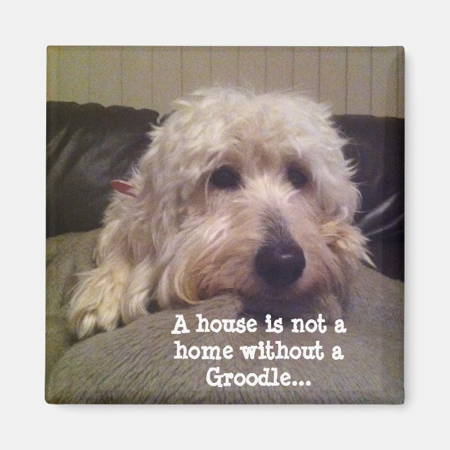 Groodle Magnet (Vorne)