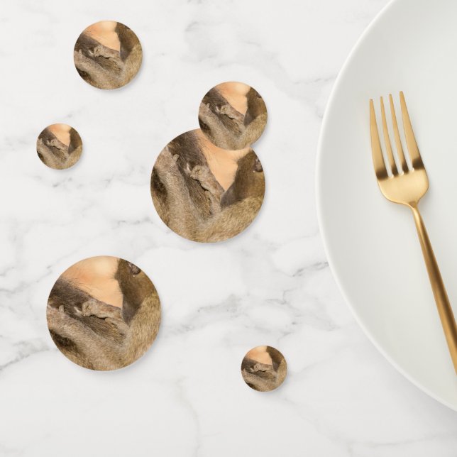 Grooming Baboons Konfetti (Gruppe)