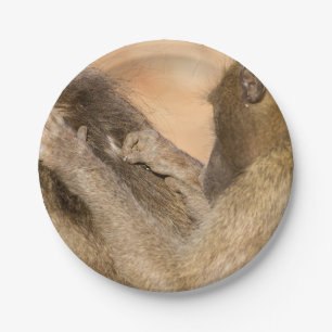 Grooming Baboons Pappteller