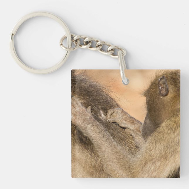 Grooming Baboons Schlüsselanhänger (Vorderseite)