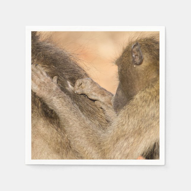 Grooming Baboons Serviette (Vorderseite)
