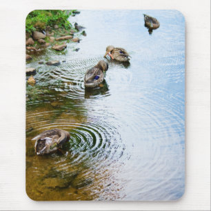 Grooming Ducks 2 Mousepad