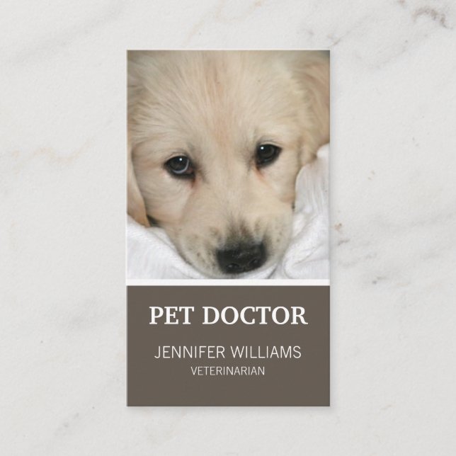 Groon Dog Doctor Business Card Visitenkarte (Vorderseite)