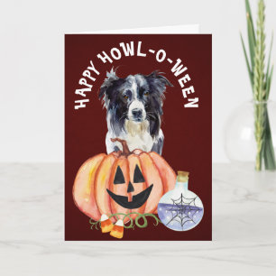Grorder Collie Howl-o-Ween Gruß Karte