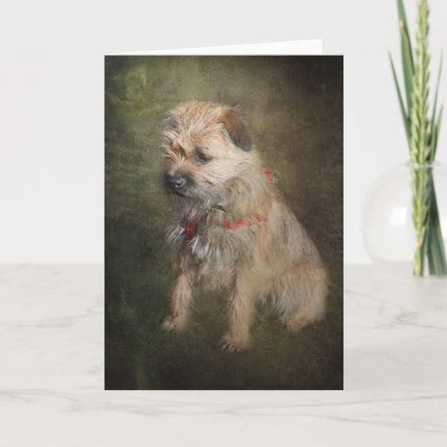 Grorder Terrier Greetings Card Karte (Vorderseite)