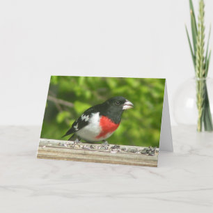 Grosbeak Denken Sie an Ihre Karte (Großdruck)