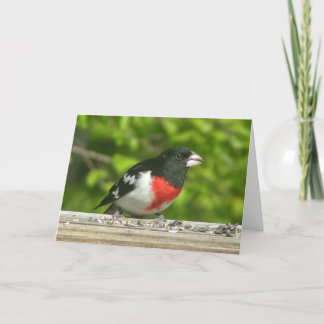 Grosbeak Denken Sie an Ihre Karte (Großdruck)