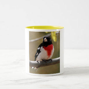 Grosbeak-Kaffee-Tasse Zweifarbige Tasse