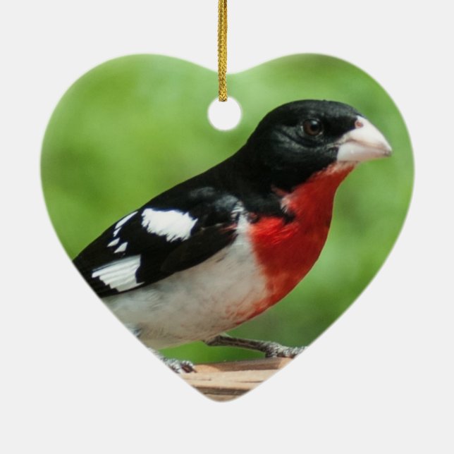 Grosbeak mit Rose Keramikornament (Hinten)